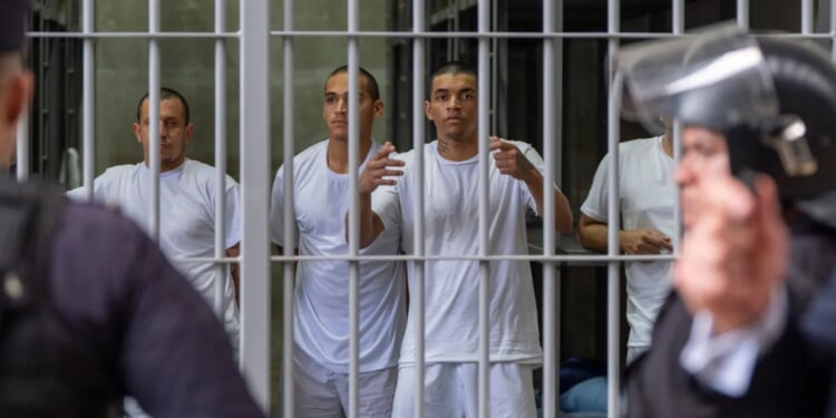 '60 Minutes' correspondent rips 'political' decision to pull CECOT segment