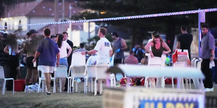 Bystander who disarmed Bondi Beach gunman hailed as hero
