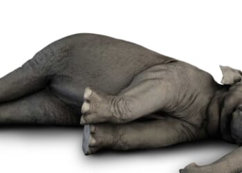 Conservatives face a choice in ’26: realignment or extinction