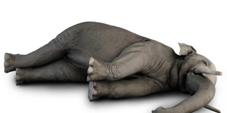 Conservatives face a choice in ’26: realignment or extinction