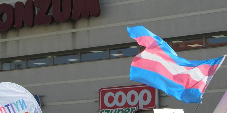 D.C. Appeals Court Upholds Trump's 'Trans' Military Prohibition