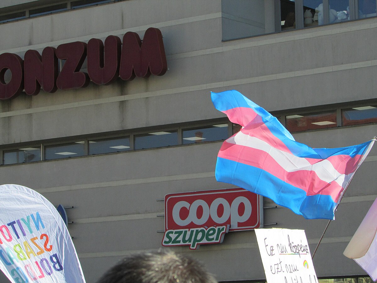 D.C. Appeals Court Upholds Trump's 'Trans' Military Prohibition