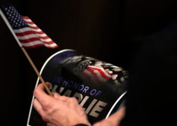 Debunking gun-related conspiracy theories