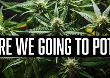 Douglas Andrews: Trump Repositions Pot