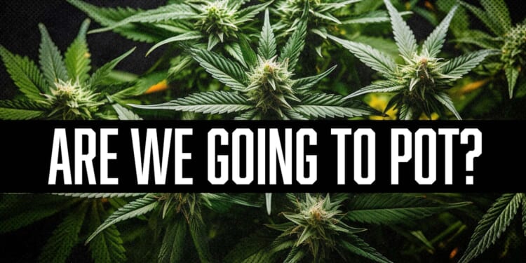 Douglas Andrews: Trump Repositions Pot