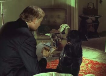 GOP Health Care Mascot's a Dog Saying 'I Want You to Go Out and Kill