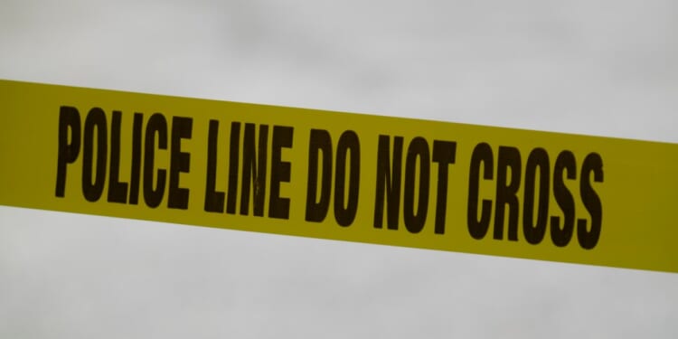 Gunman kills Delaware state trooper in 'execution style' DMV attack