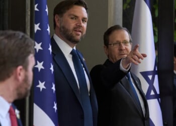 Herzog slams anti-Israel TikTok for turning Americans against ally