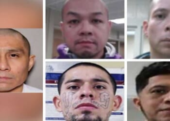 ICE locks up pedophiles, other violent illegal aliens as DHS launches ‘worst of the worst’ searchable site