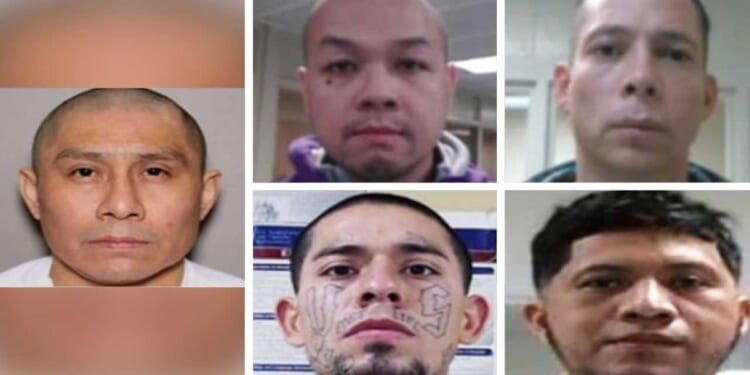 ICE locks up pedophiles, other violent illegal aliens as DHS launches ‘worst of the worst’ searchable site