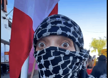 LA Members of Pro-Palestinian Group Arrested in New Year's Eve ICE Bomb Plot