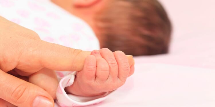 Lawmaker wants alleged Ohio child care fraud investigated