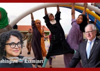 MN officials reveal prior investigations into day cares found no fraud