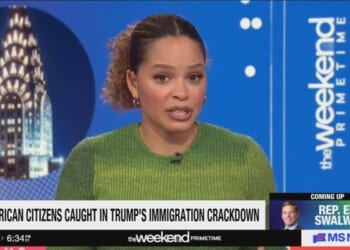 MS NOW Flips Out Over DHS Detaining Girlfriend of Illegal Alien