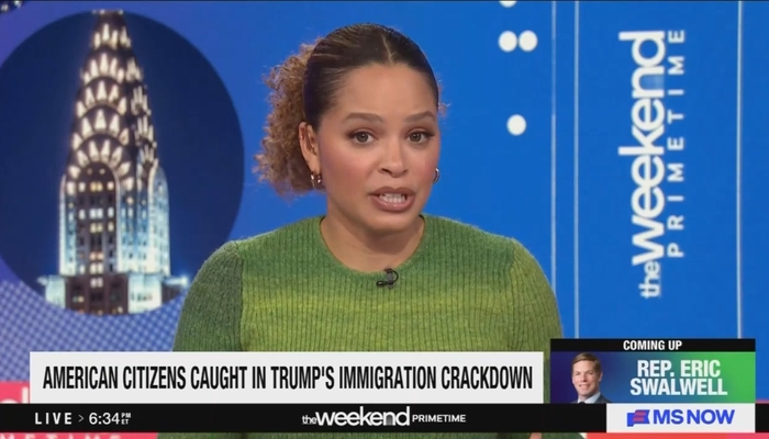 MS NOW Flips Out Over DHS Detaining Girlfriend of Illegal Alien