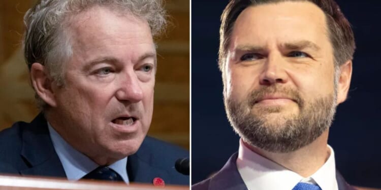 Paul spurns Vance 2028 endorsement in favor of 'free market' candidate