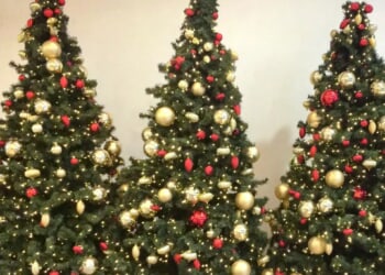 Philadelphia mayor's office's absurd defense of 'holiday tree'