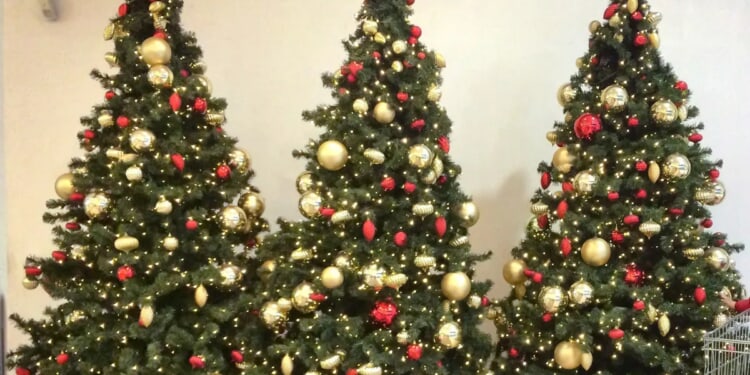Philadelphia mayor's office's absurd defense of 'holiday tree'