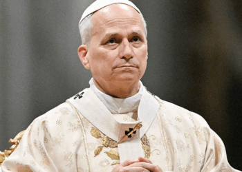 Pope Leo calls out gambling addiction and 'demographic crisis' in Vatican meeting