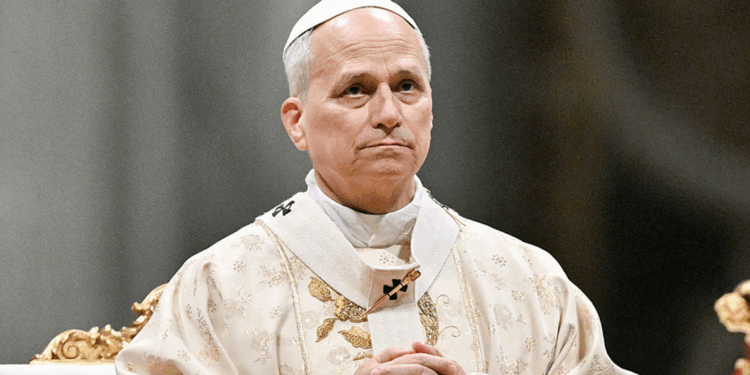 Pope Leo calls out gambling addiction and 'demographic crisis' in Vatican meeting