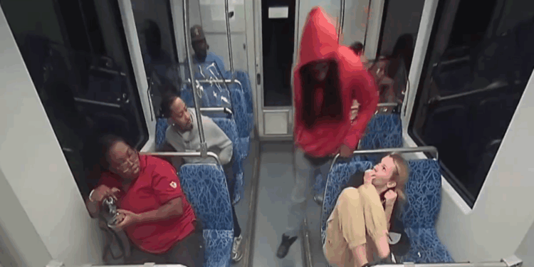 Publius: Readers' Choice: Best of Right Opinion for 2025