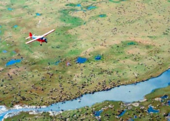 Republicans vote to cancel Biden drilling restrictions in Alaska’s wildlife refuge