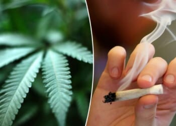 Rescheduling marijuana puts corporations ahead of public safety