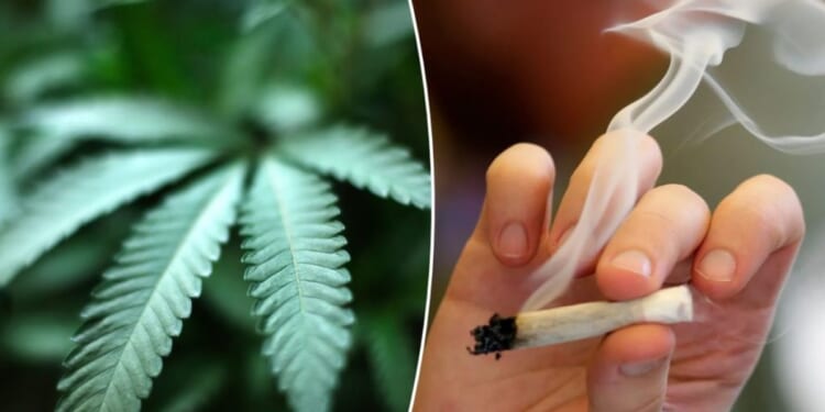 Rescheduling marijuana puts corporations ahead of public safety