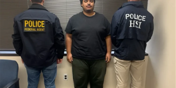 'Shoot ICE on sight': Twin brothers arrested after allegedly threatening to hang DHS' Tricia McLaughlin