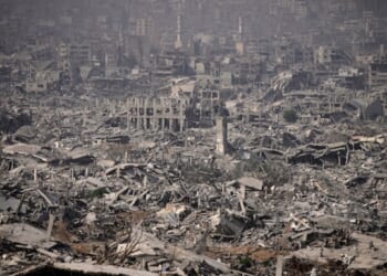 Still mourning but beginning to rebuild