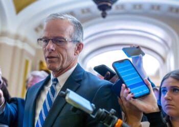 Thune floats Cruz vote on DC flight safety