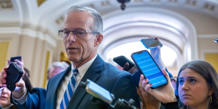 Thune floats Cruz vote on DC flight safety