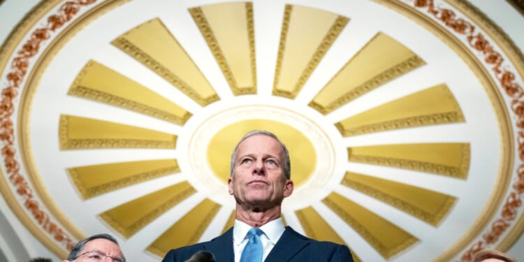 Thune looks beyond healthcare to tackle affordability message