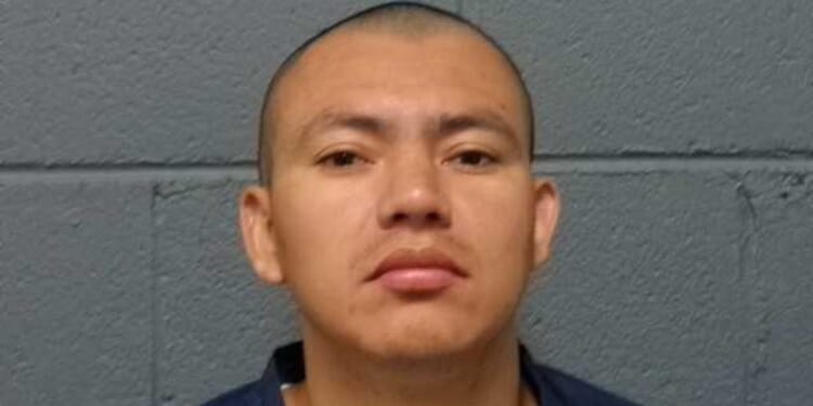 'Truly wicked': Trump administration blasts Obama judge over praise of illegal alien who raped disabled American woman