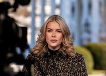 Trump 'absolutely' wants to revoke citizenship of Somalis who committed fraud in Minnesota: Leavitt