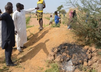 Trump brags US gave ISIS 'very bad Christmas present' with Nigeria strikes