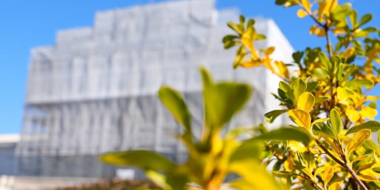 Trump's firing power faces major test at the Supreme Court