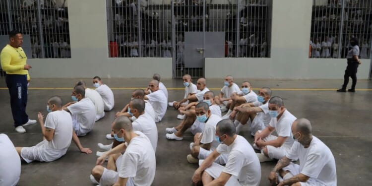 Weiss pulled 60 Minutes story on Trump deportations, didn't 'advance the ball'