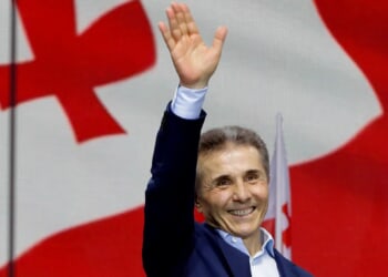 Why the Georgian government is so angry with my article