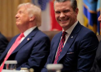 Woke 'Franklin the Turtle' publisher and Democrats lose their minds after Hegseth shares hilarious meme