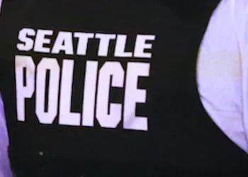 12-year-old accused of striking woman in face with screwdriver amid robbery appears in court; lawyer calls him a 'good kid'