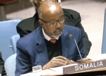 Somalia's Foreign Minister, UN Ambassador, Ran Health Care Corps in Ohio