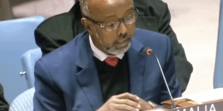 Somalia's Foreign Minister, UN Ambassador, Ran Health Care Corps in Ohio