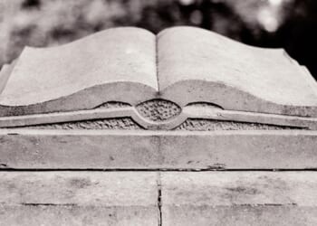 Review of Good Bones by Brooke Allen