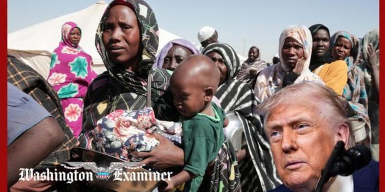 February Social Security direct payment worth $994 goes out in 28 days