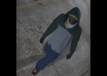 Woman brutally stabbed multiple times in unprovoked attack at Sonic Drive-In; suspect still on the loose