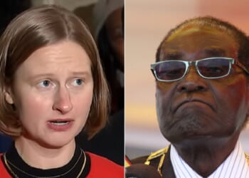 Zimbabwe on the Hudson