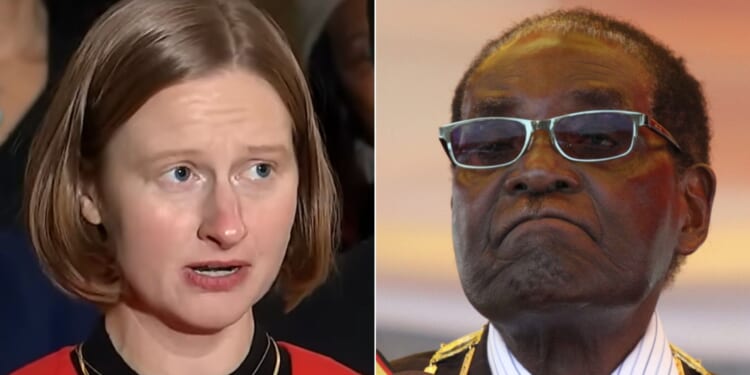 Zimbabwe on the Hudson