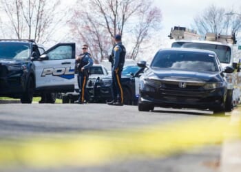 'Horror movie come to life': Man faces nearly 600 charges after 100 skulls and skeletons were allegedly found in his home