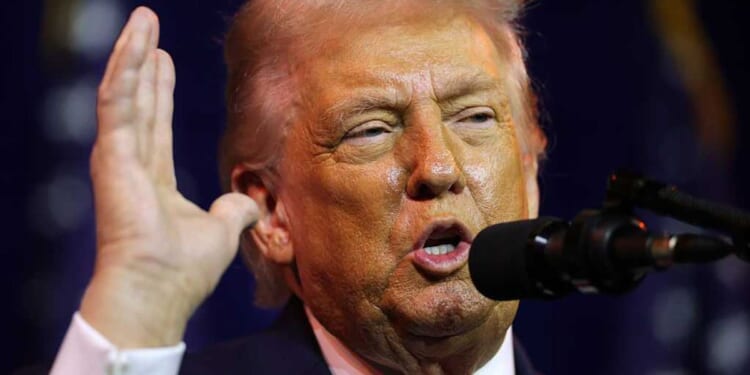 Trump has the chance to end the welfare free-for-all Minnesota exposed